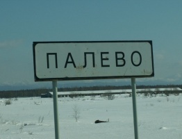 «Палево» на празднике