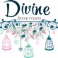 DIVINE Decor Studio